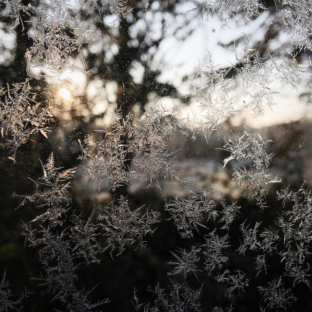vsco-frost-1-3