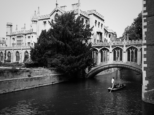 punting4