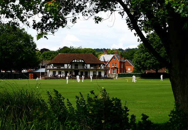 K-cricket