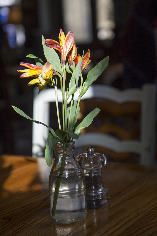coffee-flowers