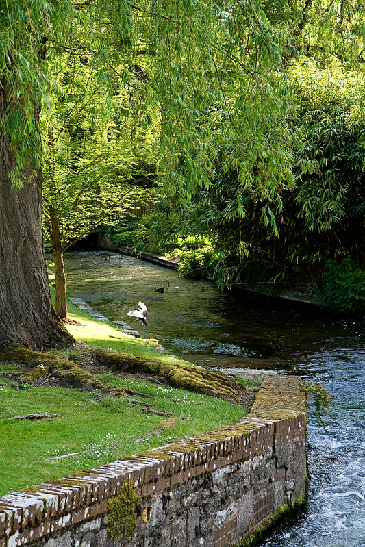 river