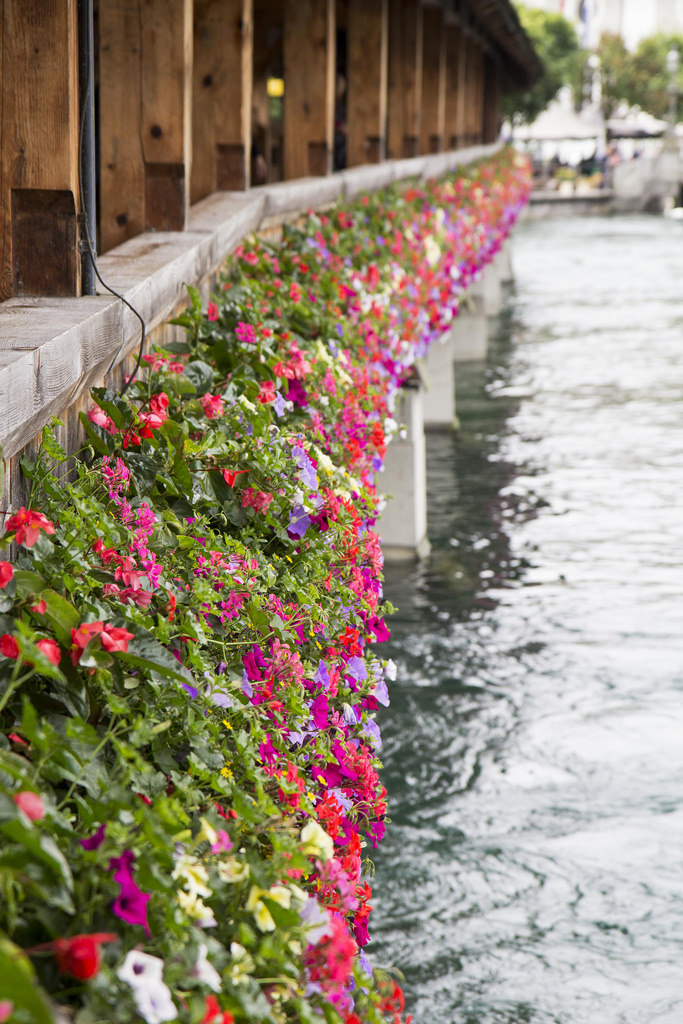 Lucerne
