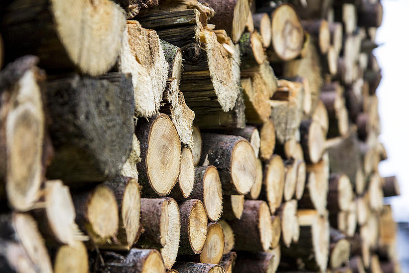 logs