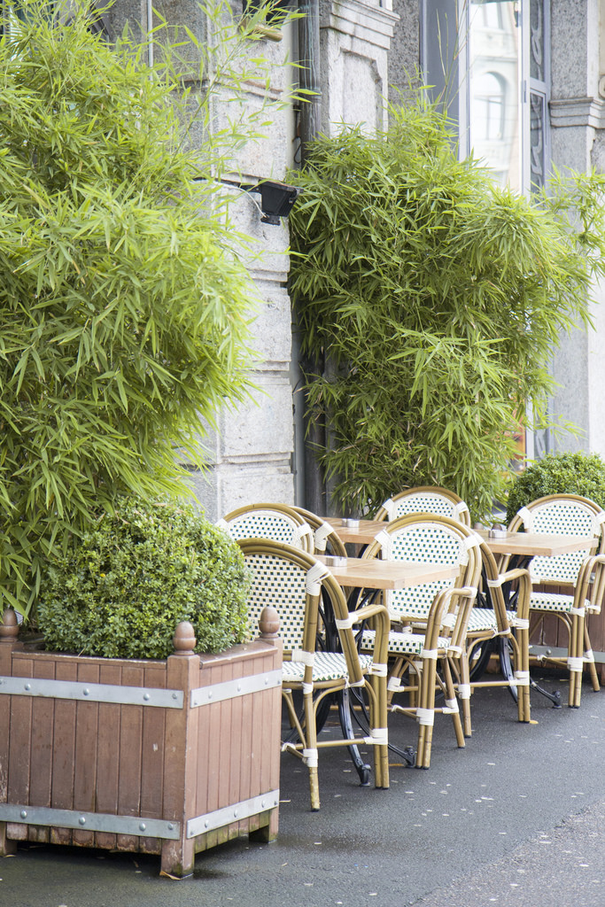 cafe
