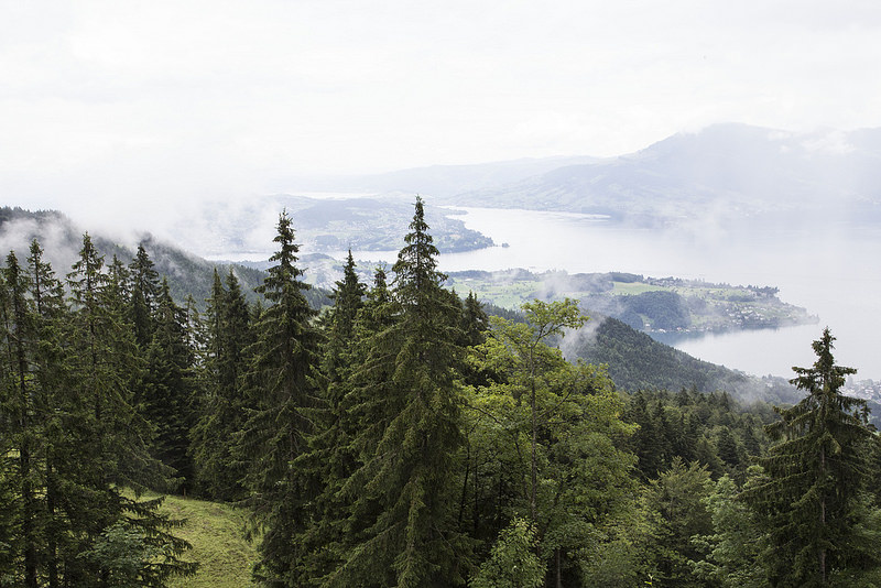 landscape3