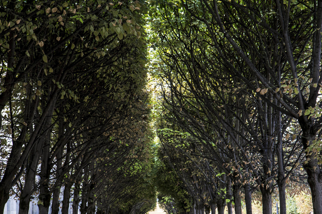 Paris-details5