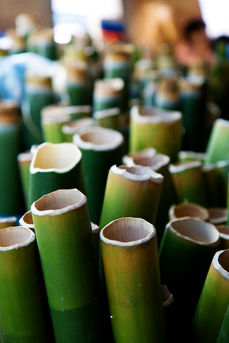 bamboo
