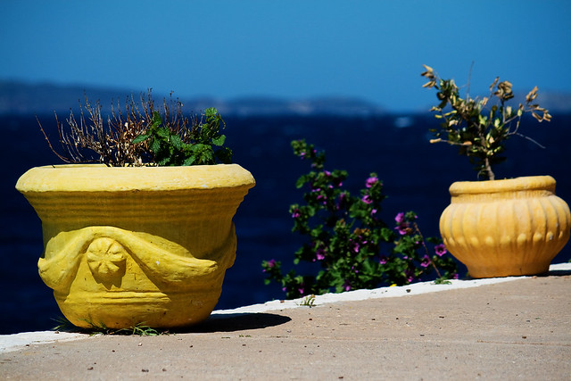 flowerpots