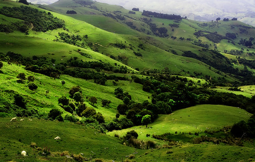 akaroa farm2