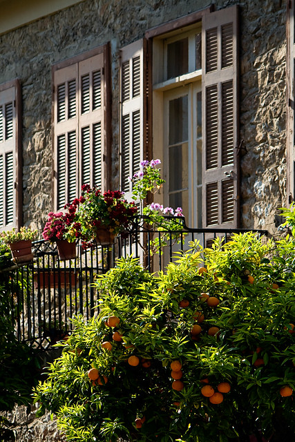 nafplio - oranges