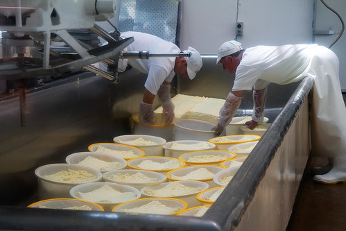 barry's bay gouda