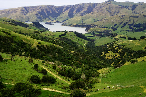 diamond harbour1