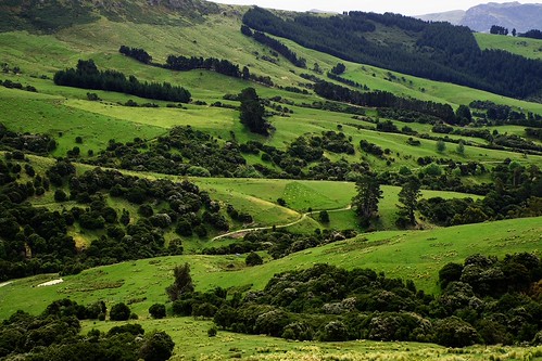 banks peninsula9
