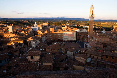 siena5 copy