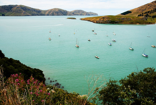 Banks Peninsula1