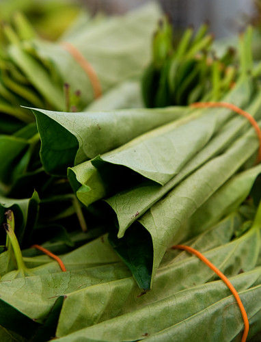 pinang leaves