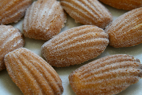 madeleine1