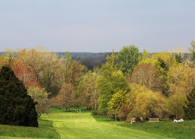 hilliers-landscape2