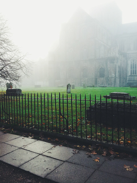 fog