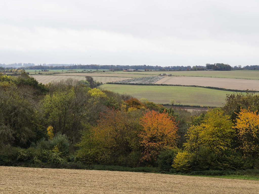 cotswolds-countryside