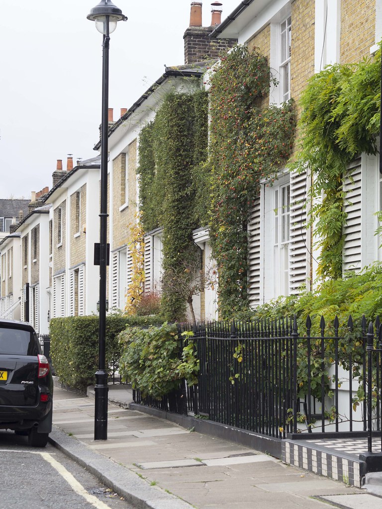 pimlico-2