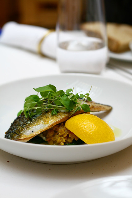 nopi-mackerel