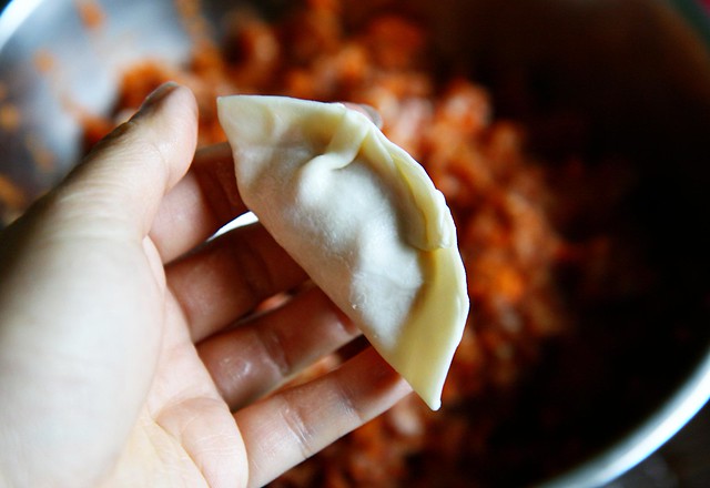 dumplings5