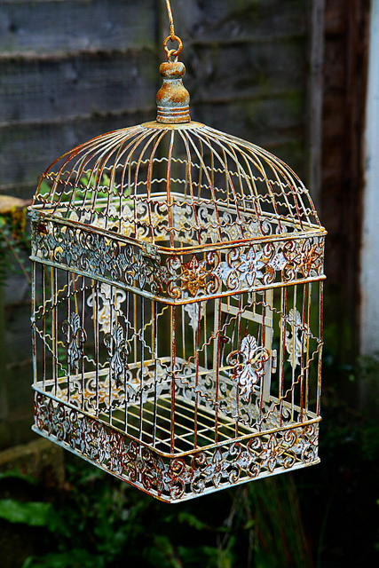 birdcage