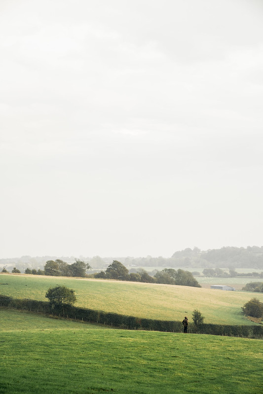 Rye-landscape-4