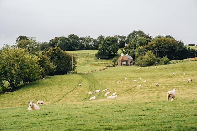 Rye-landscape-8