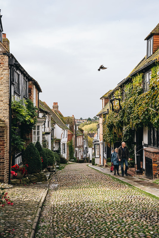 Rye-mermaid_lane