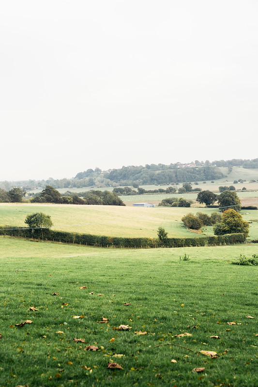 Rye-landscape