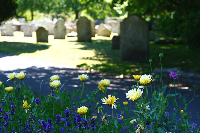 chch-cemetery