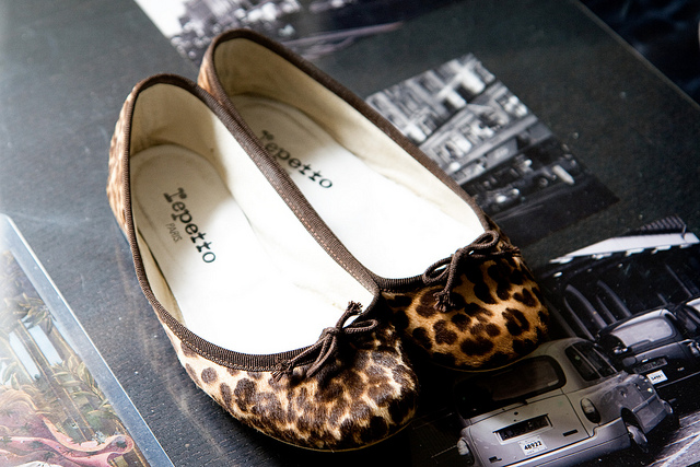 Repetto-leopard