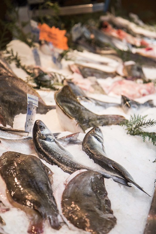 Temple-marche-fish