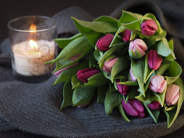 flowerscandlecashmere2
