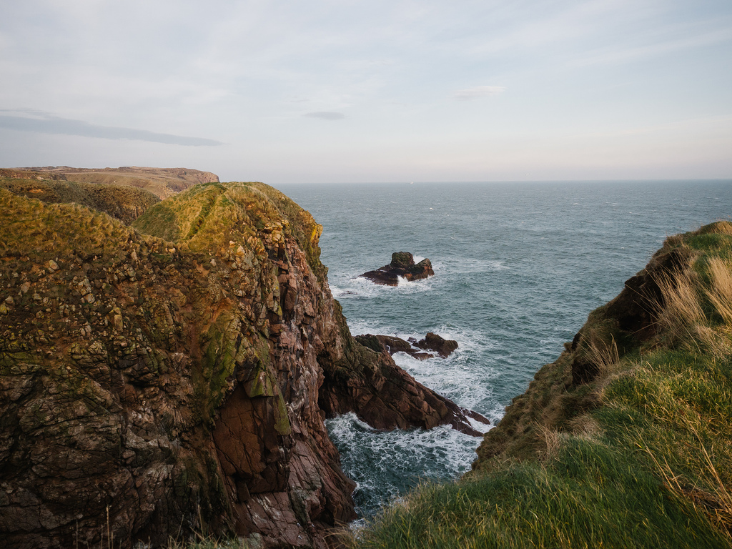 Buller's of Buchan-2