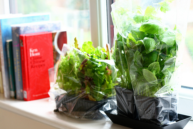veggies