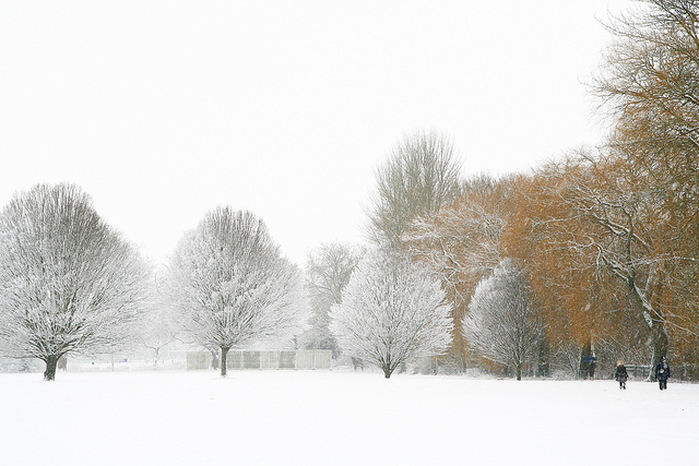 winter