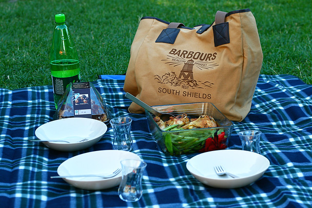 picnic2