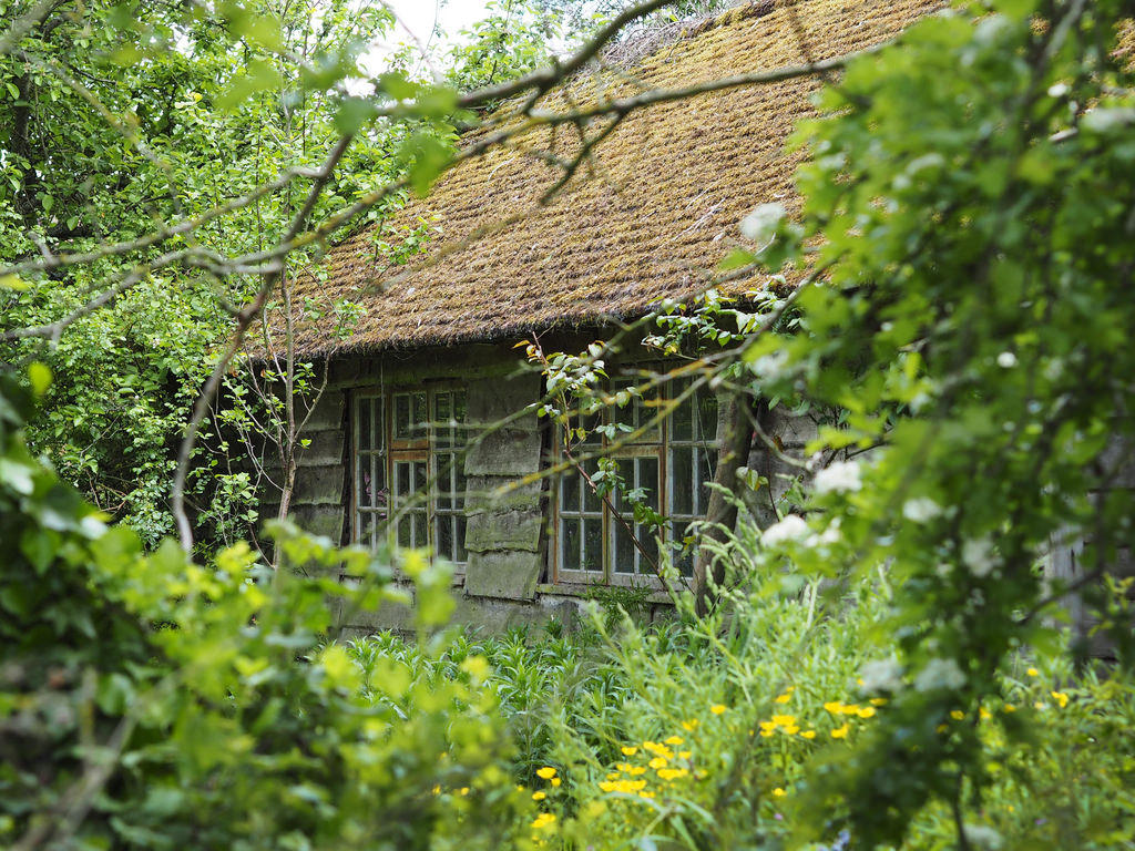 chilbolton-ramshackle_cottage